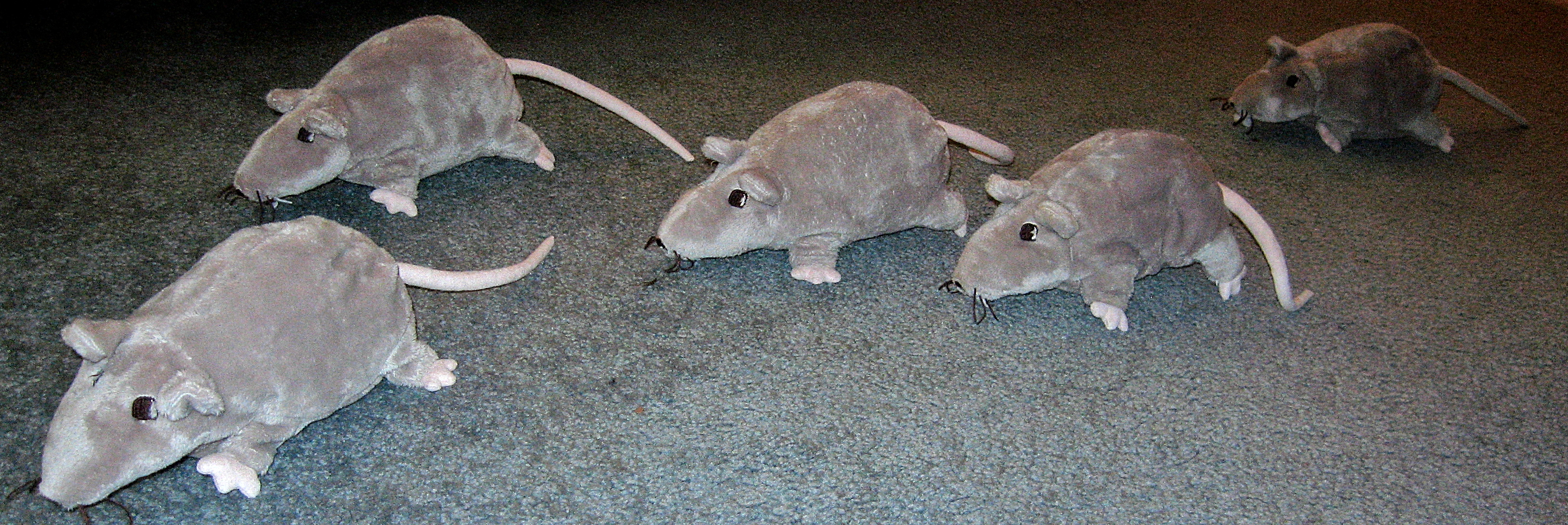 Rat From Rtc back to the rat race – collecting tokens