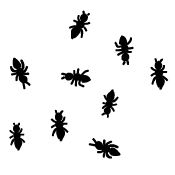 ant_bunch_sm.jpg