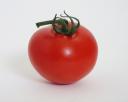 tomato_pd.jpg
