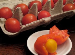 tomato_eggs2.jpg
