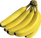 banana_bunch_1.png