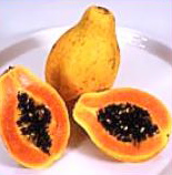 papaya_no_border.jpg