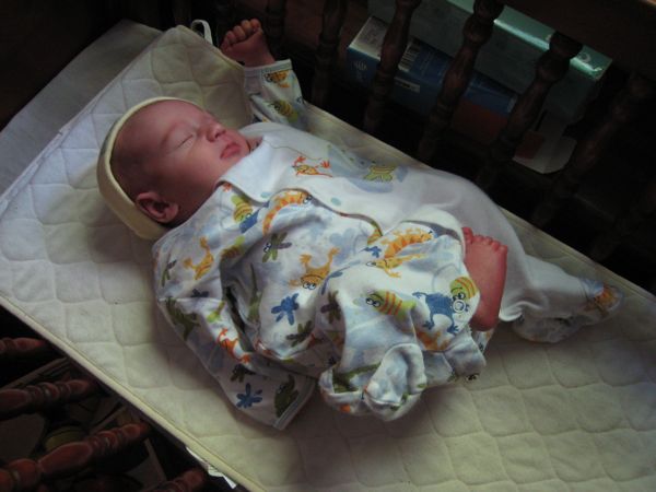 theo_cradle Theo at 1 week old.