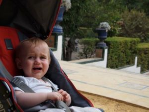 Theo tiring of the gardens of Alcazar in Sevilla.
