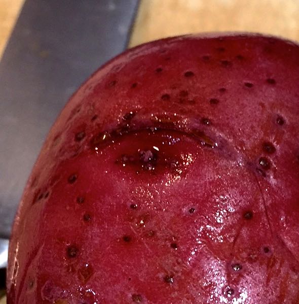 IMG_3520 - Version 2