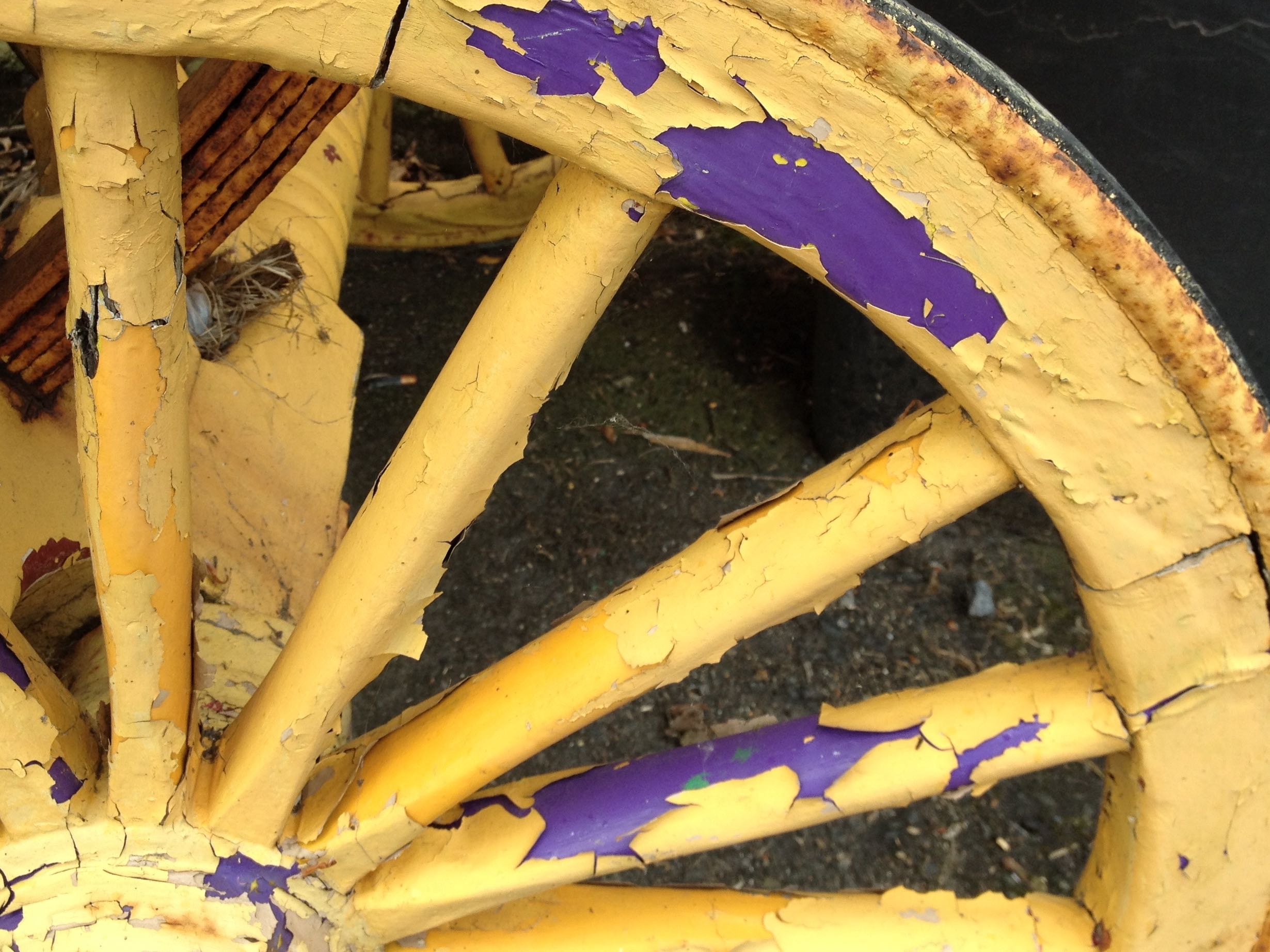yellow-purple-wheel